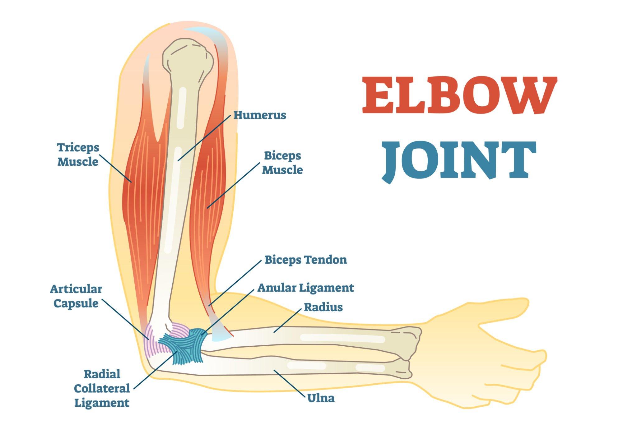 Elbow Replacement